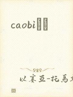 caobiС˵