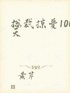 总裁掠爱100天