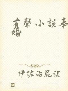 有声小说奉子成婚