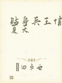 贴身兵王俏总裁夏天