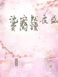 沈安然夜盛霆免费阅读