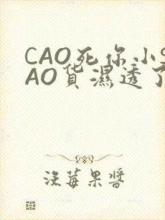 CAO死你小SAO货湿透了学长