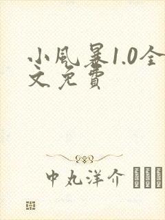 小风暴1.0全文免费
