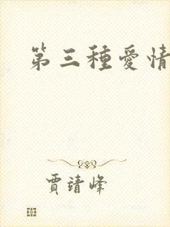 第三种爱情续集