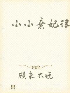 小小弃妃很倾城