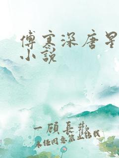 傅寒深唐星挽的小说