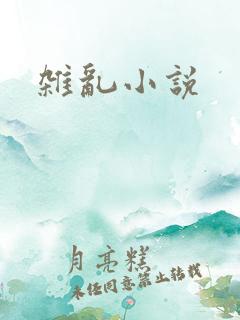 杂乱小说