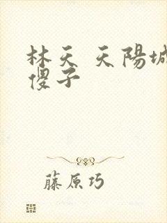 林天 天阳城 傻子
