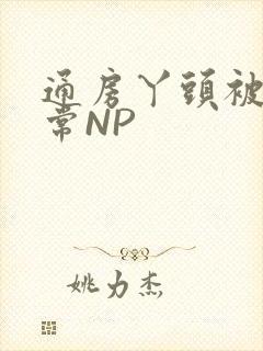 通房丫头被肉日常NP