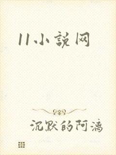 11小说网