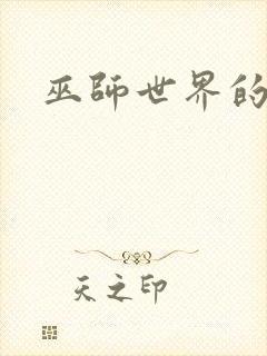 巫师世界的法师