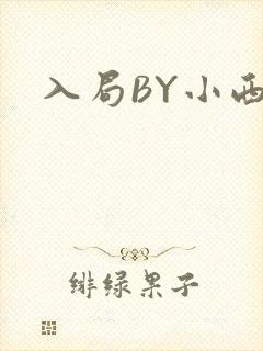 入局BY小西