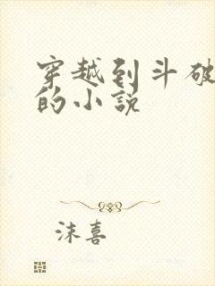 穿越到斗破苍穹的小说