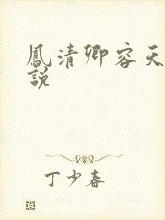 凤清卿容天凌小说