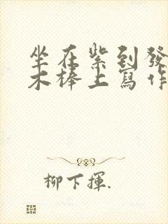 坐在紫到发黑的木棒上写作业