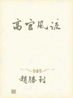 高官风流