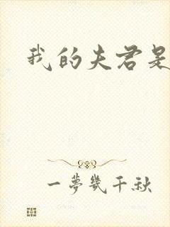 我的夫君是冥王