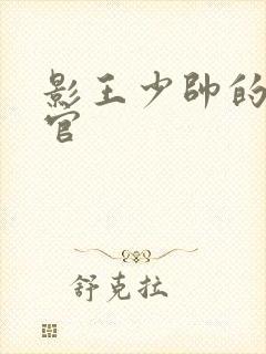 影王少帅的女长官