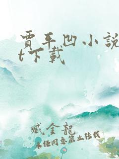 贾平凹小说txt下载