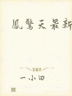 凤惊天最新章节