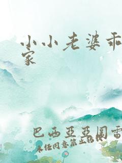 小小老婆乖乖回家