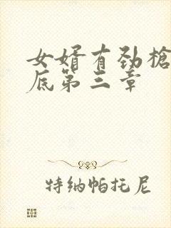 女婿有劲枪枪到底第三章