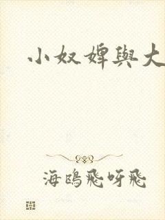 小奴婢与大少爷