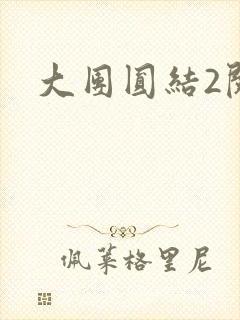 大团圆结2阅读