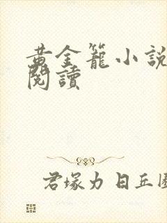 黄金笼小说免费阅读