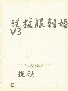 从校服到婚纱1V3