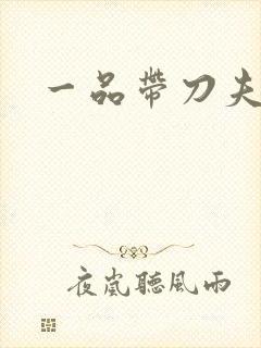 一品带刀夫人