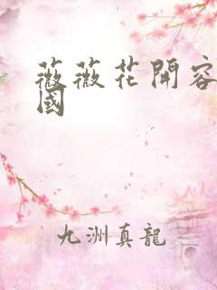 薇薇花开容颜倾国