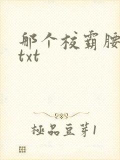 那个校霸腰好软txt