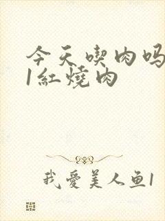 今天吃肉吗1V1红烧肉