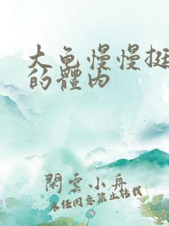 大龟慢慢挺进我的体内