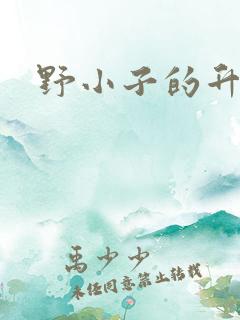 野小子的升官路