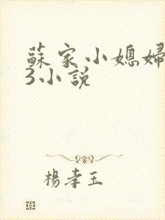 苏家小媳妇1V3小说