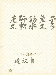 老师的兔子又大又软水又多