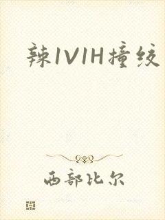 辣1V1H撞绞