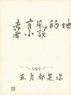 去有风的地方原著小说