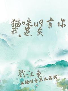 猫咪u9有你有我足矣