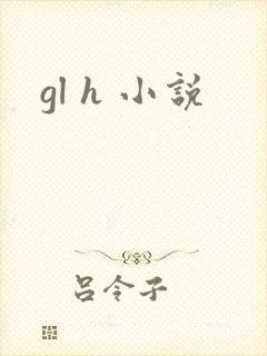 gl h 小说