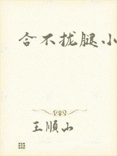 合不拢腿小说