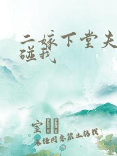 二嫁下堂夫君别碰我