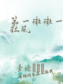 第一微微一笑很拉风