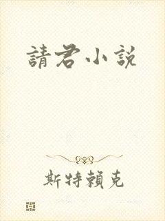 请君小说