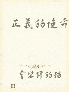 正义的使命小说