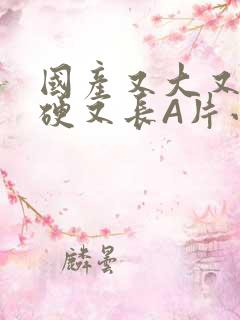 国产又大又粗又硬又长A片小说