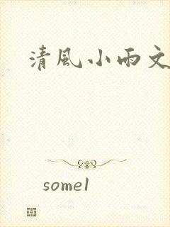清风小雨文学网
