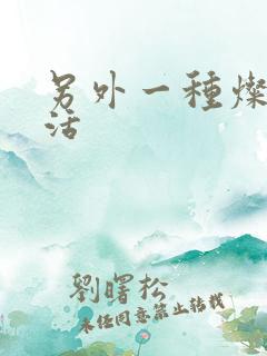 另外一种灿烂生活